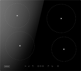 Induktionsfeld Reparatur Braunschweig